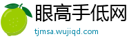 眼高手低网